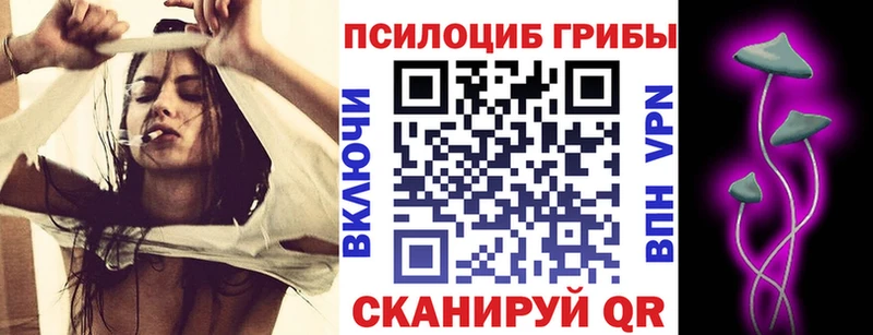 Купить где Североморск Псилоцибиновые грибы MAGIC MUSHROOMS