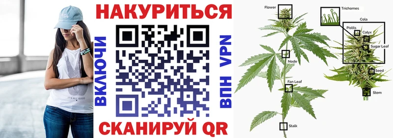 Купить Североморск Бошки марихуана Amnesia